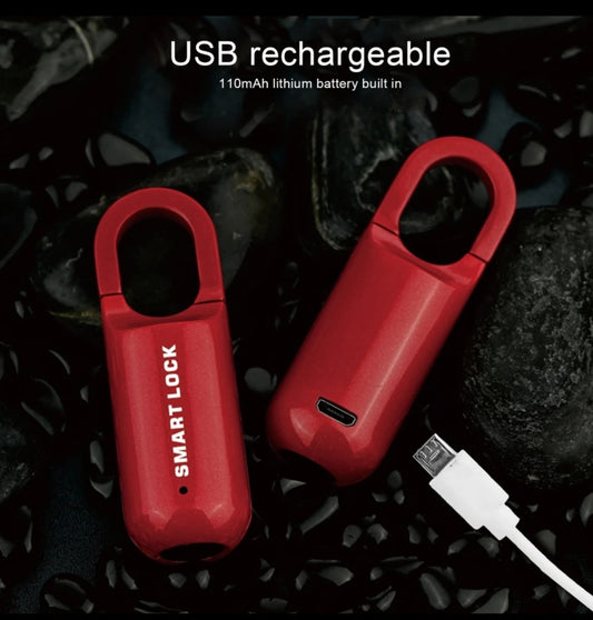 Fingerprint PadLock